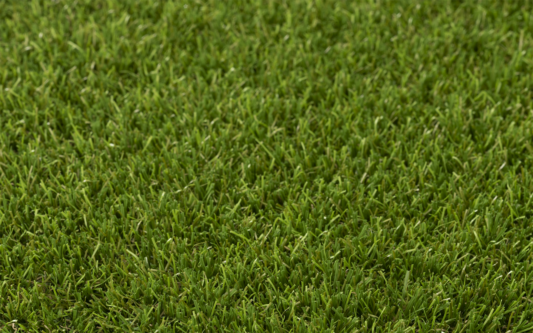 ONE-DNA  artificial turf