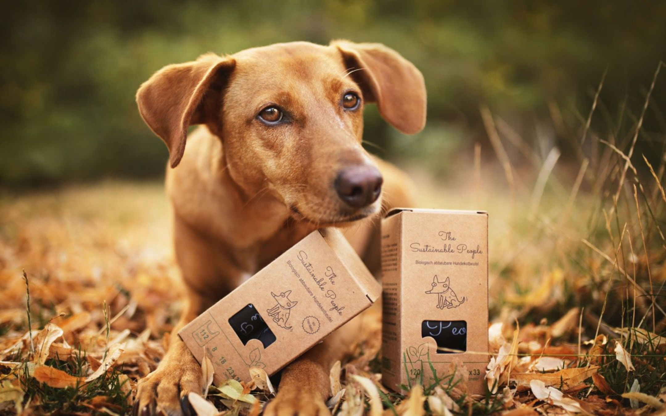 Bolsas biodegradables de desechos de perro