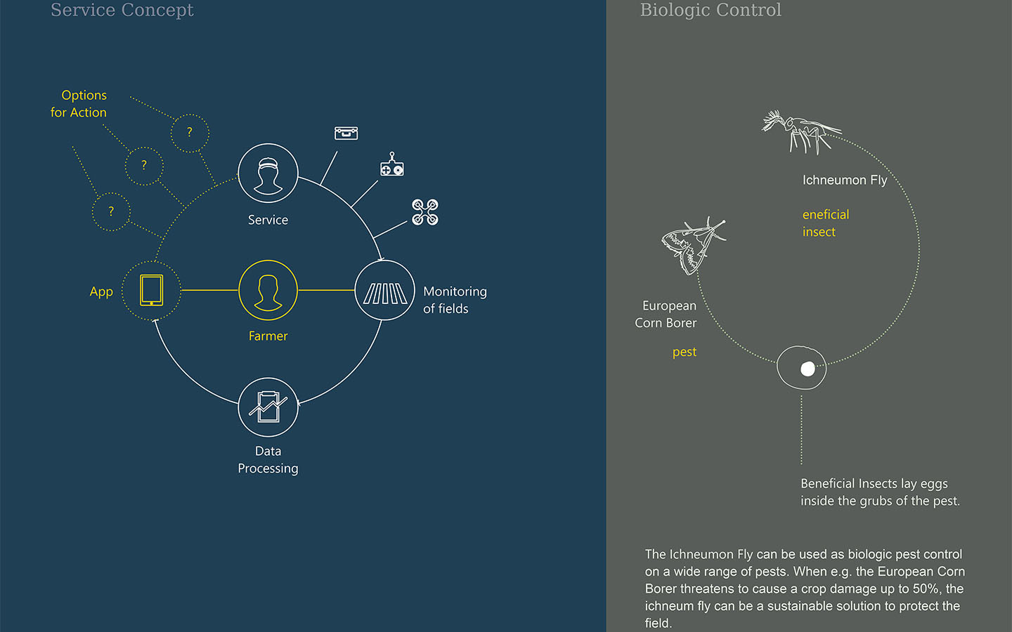 KLEA - a drone for farmers