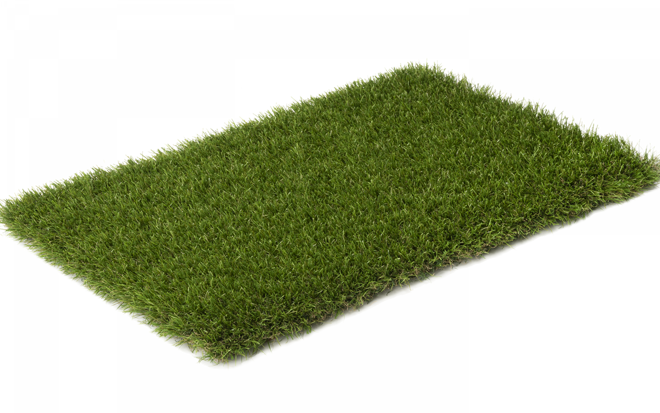 ONE-DNA  artificial turf