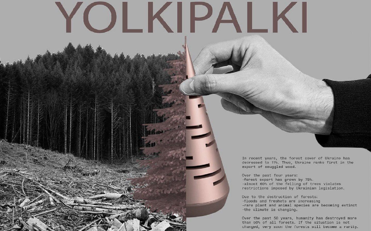 Yolkipalki