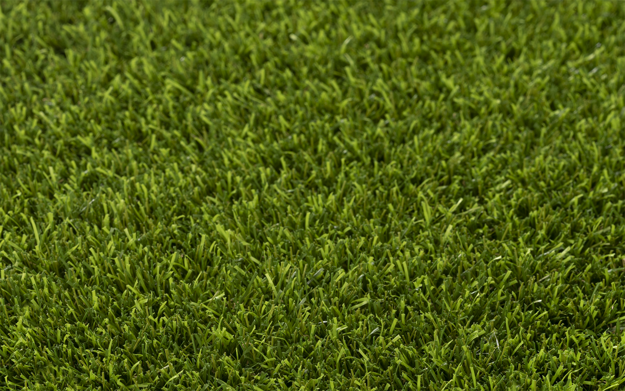 ONE-DNA  artificial turf