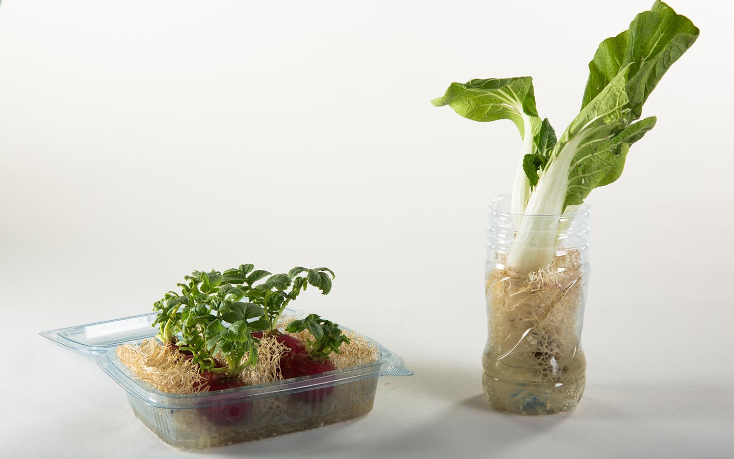 biodegradable growing package