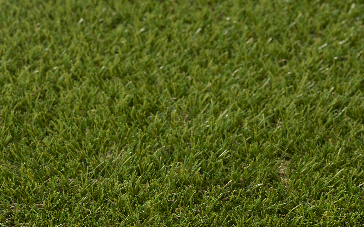 ONE-DNA  artificial turf