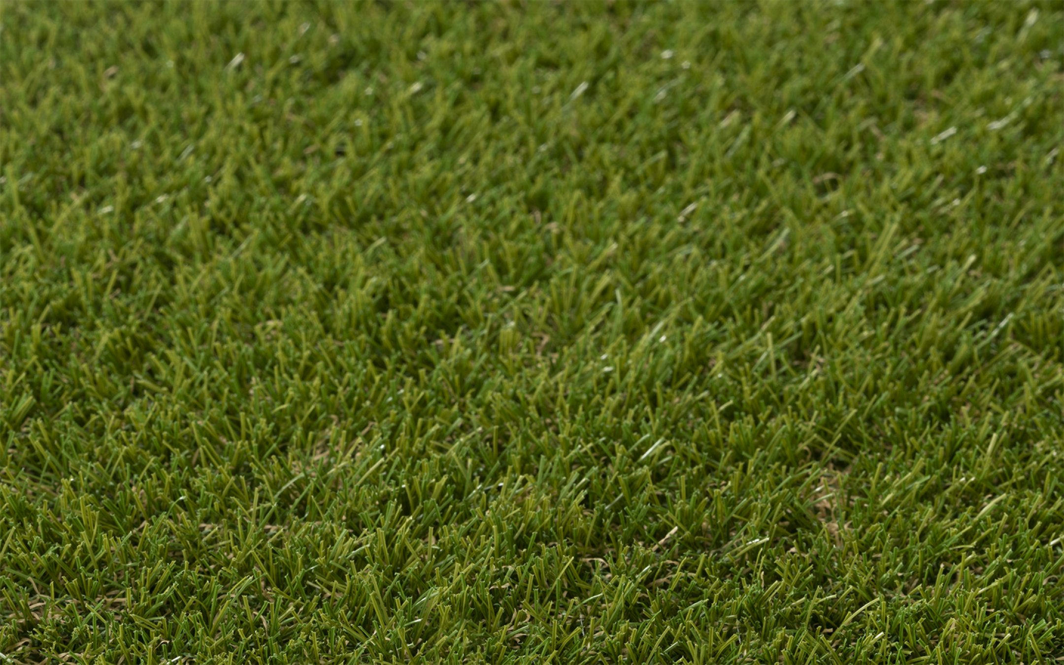 ONE-DNA  artificial turf