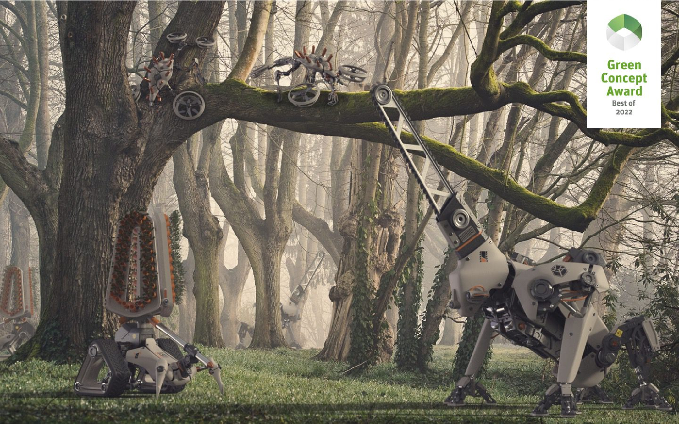 FOREST RANGER DRUIDS
