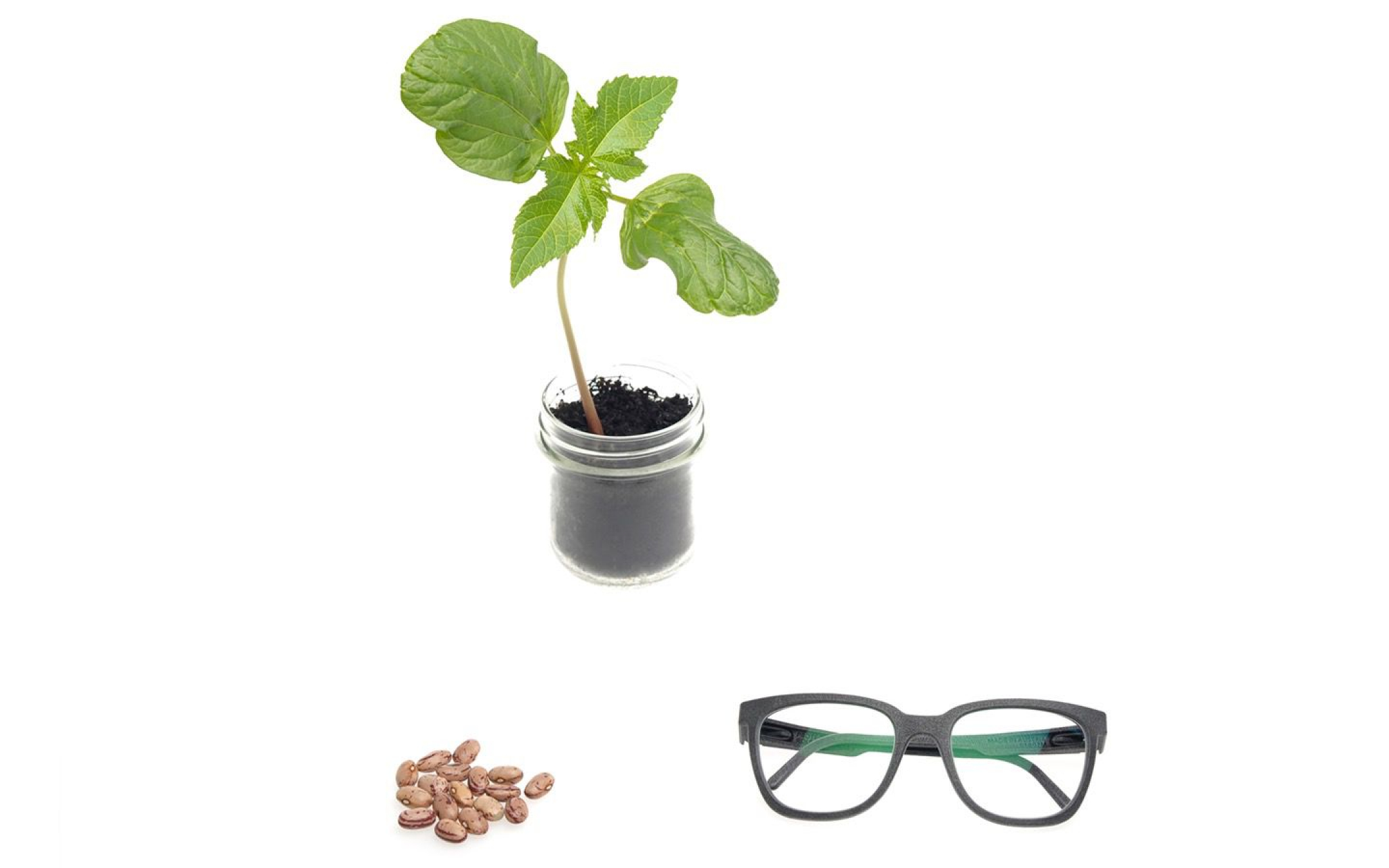Glasses made from beans