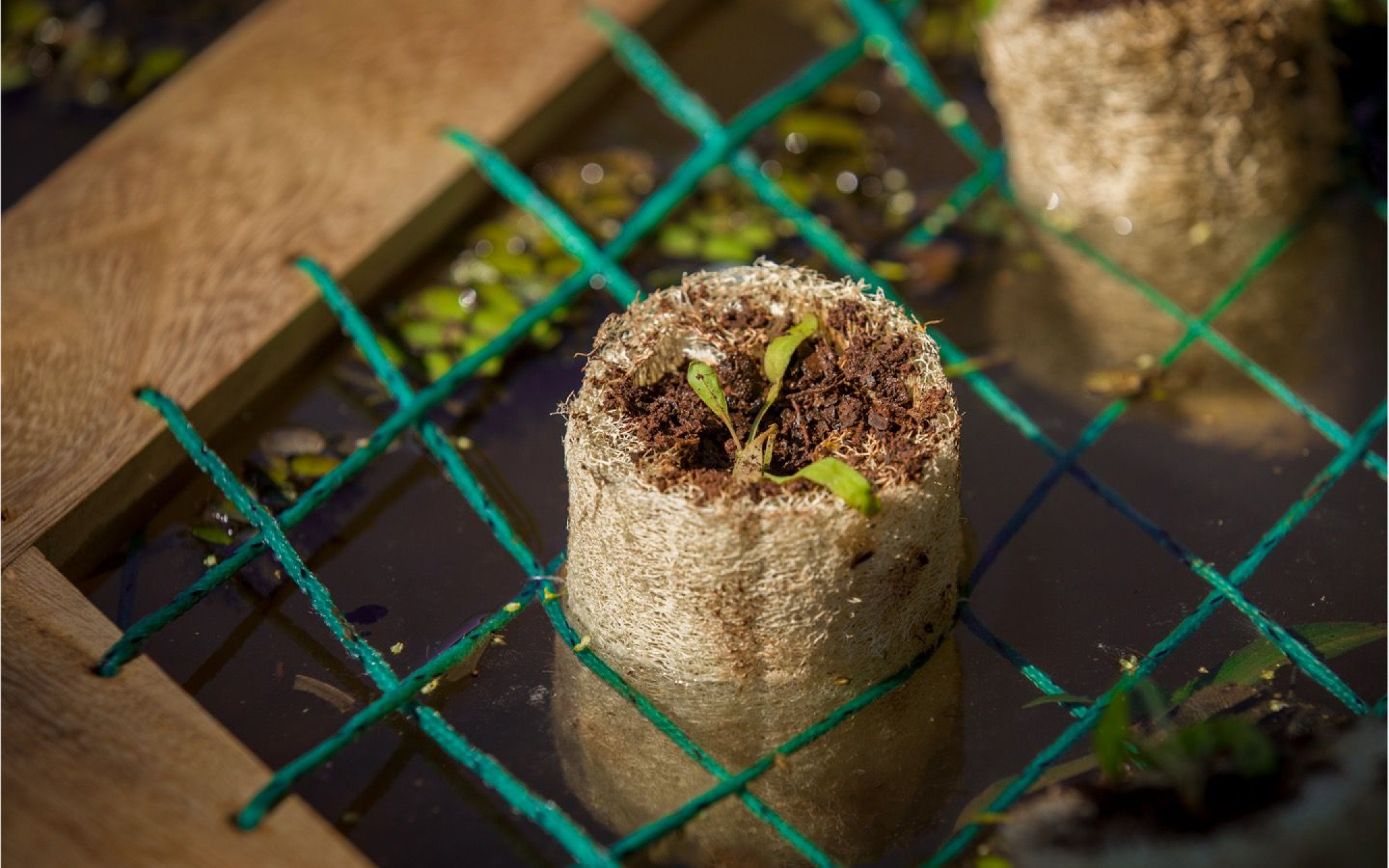 HÁBITAT aquaponic kit