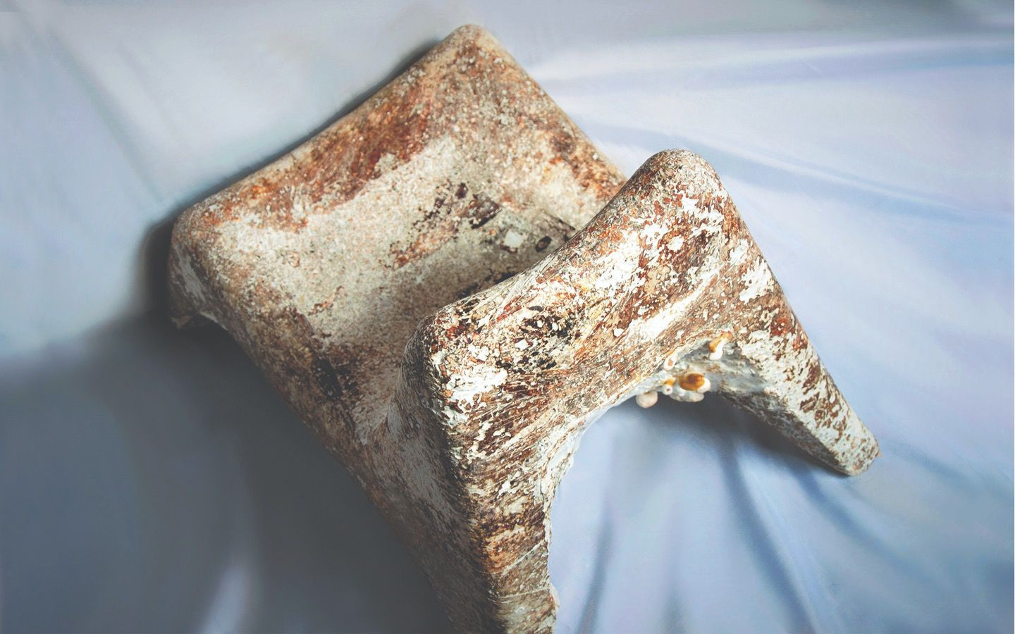 Mycelium Stool - Harvard Graduate School of Design