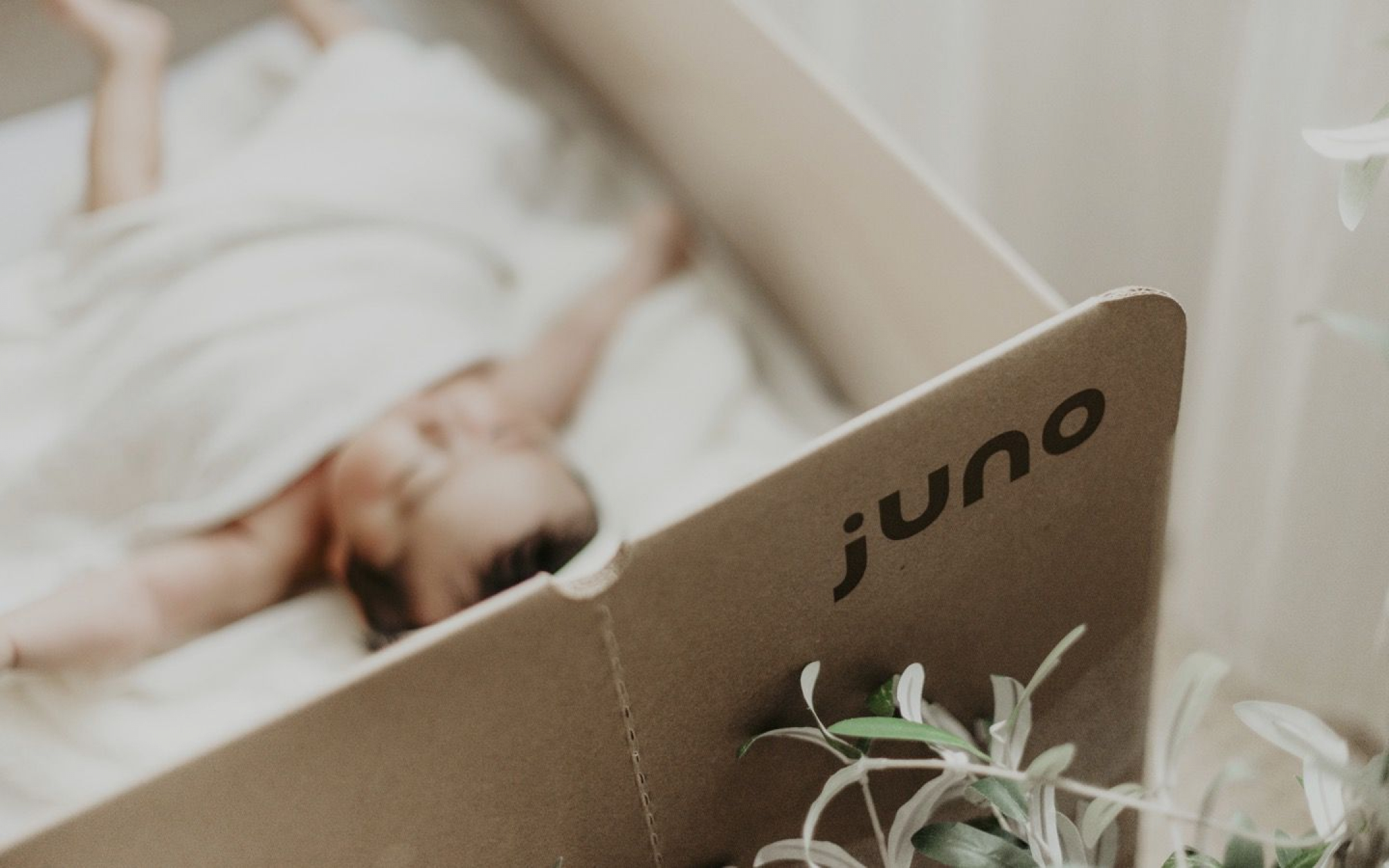 The Juno Bassinet