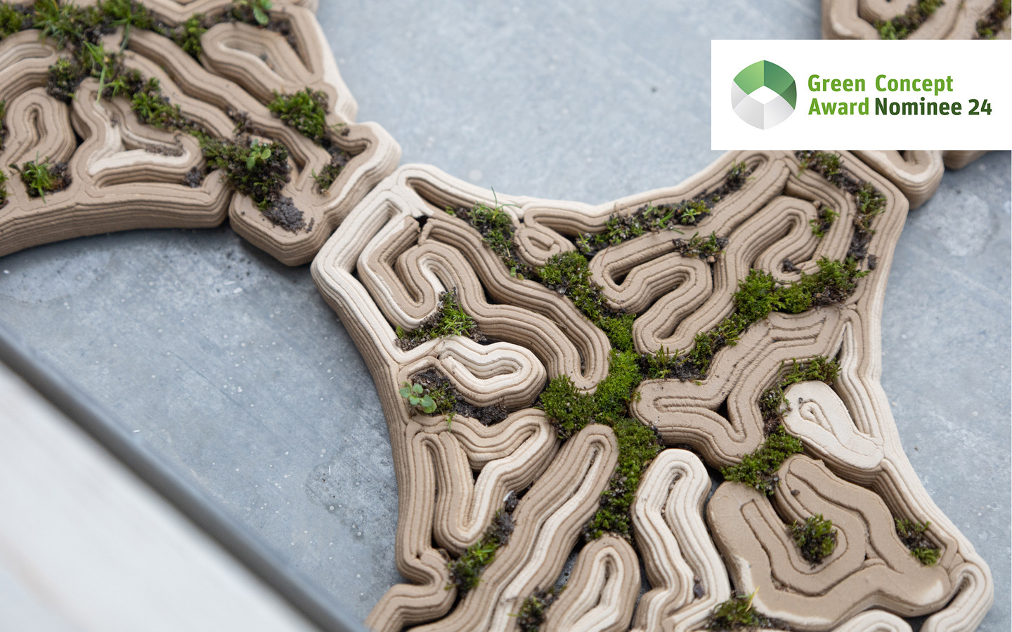 Infused Earth Green Product Award