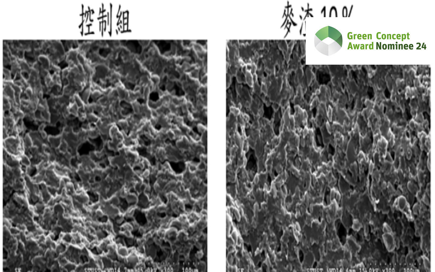 evaluation of noodles