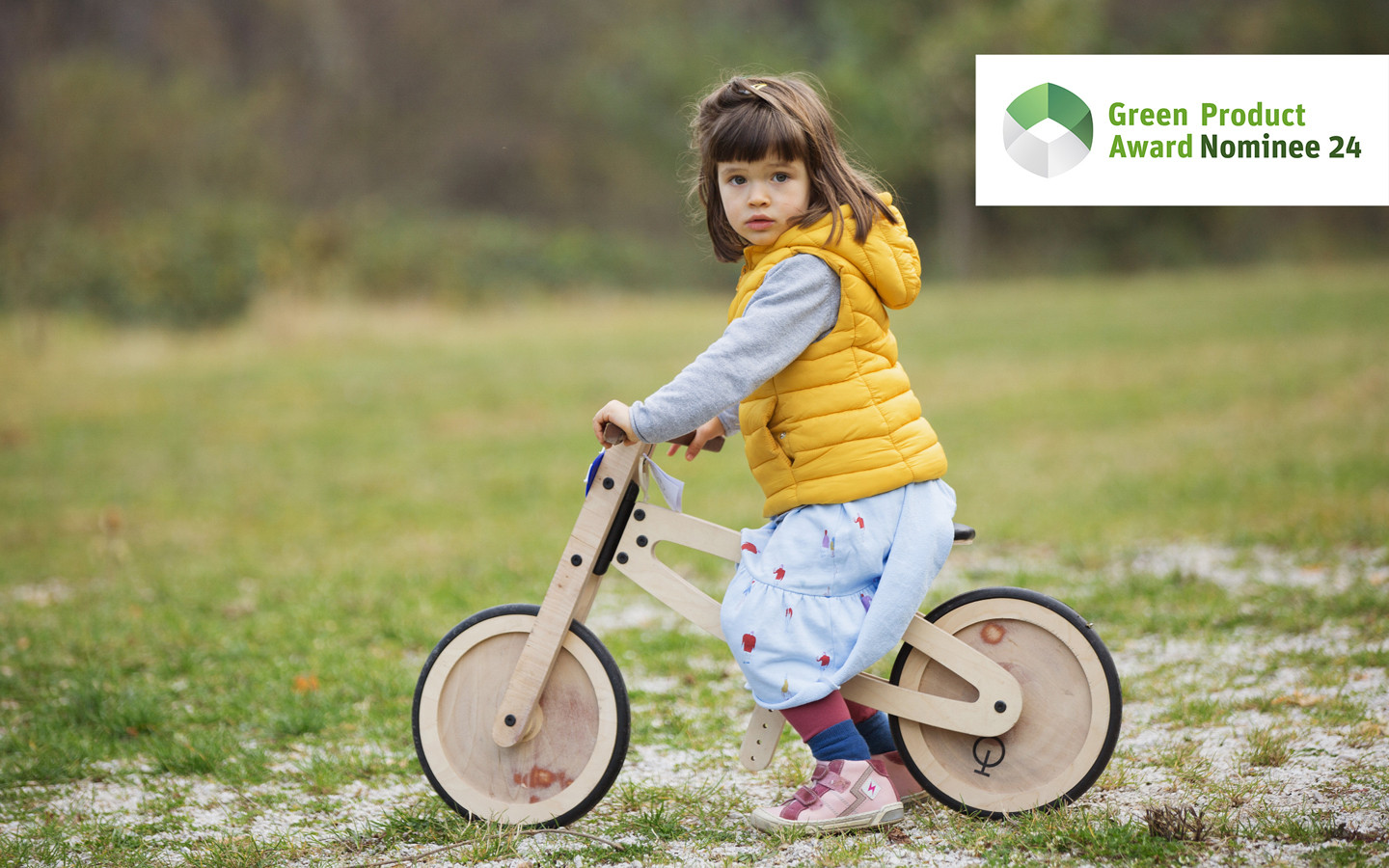 Bicicleta de equilibrio TOCHAK