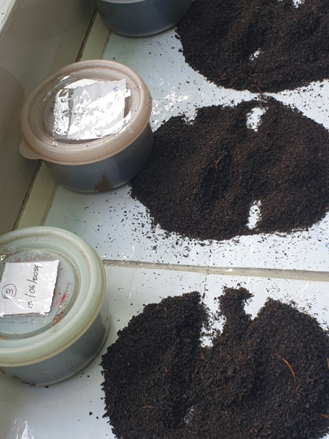 Green Energy Conversion