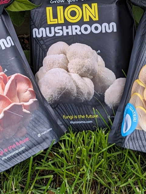 Mushroom Growbag