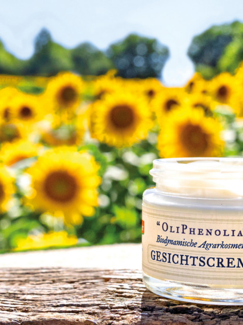 Naturhautpflege "OliPhenolia®" (Tratamiento natural)