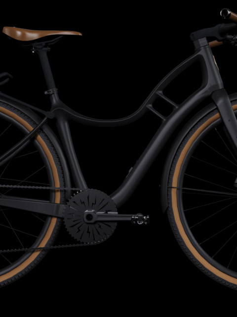 The Bicycle of your life