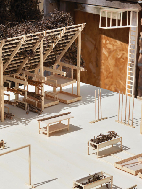 Reconstructing a Practice