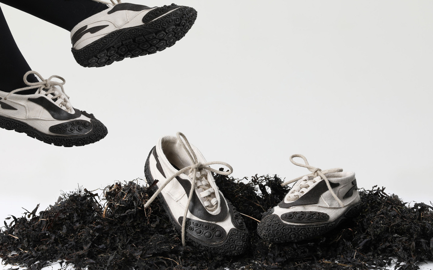 Biological Footprint