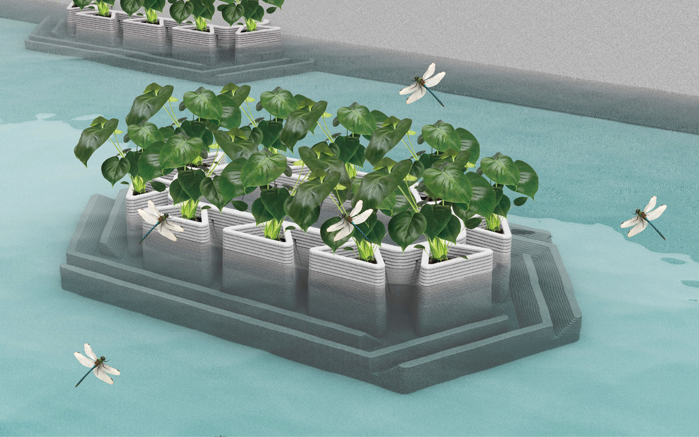 D.F.S 蜻蜓保护区