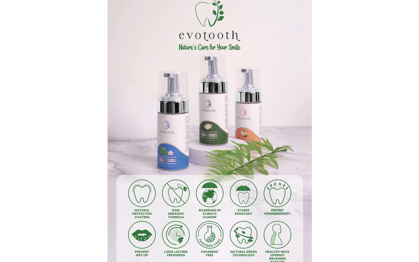 Evotooth 泡沫