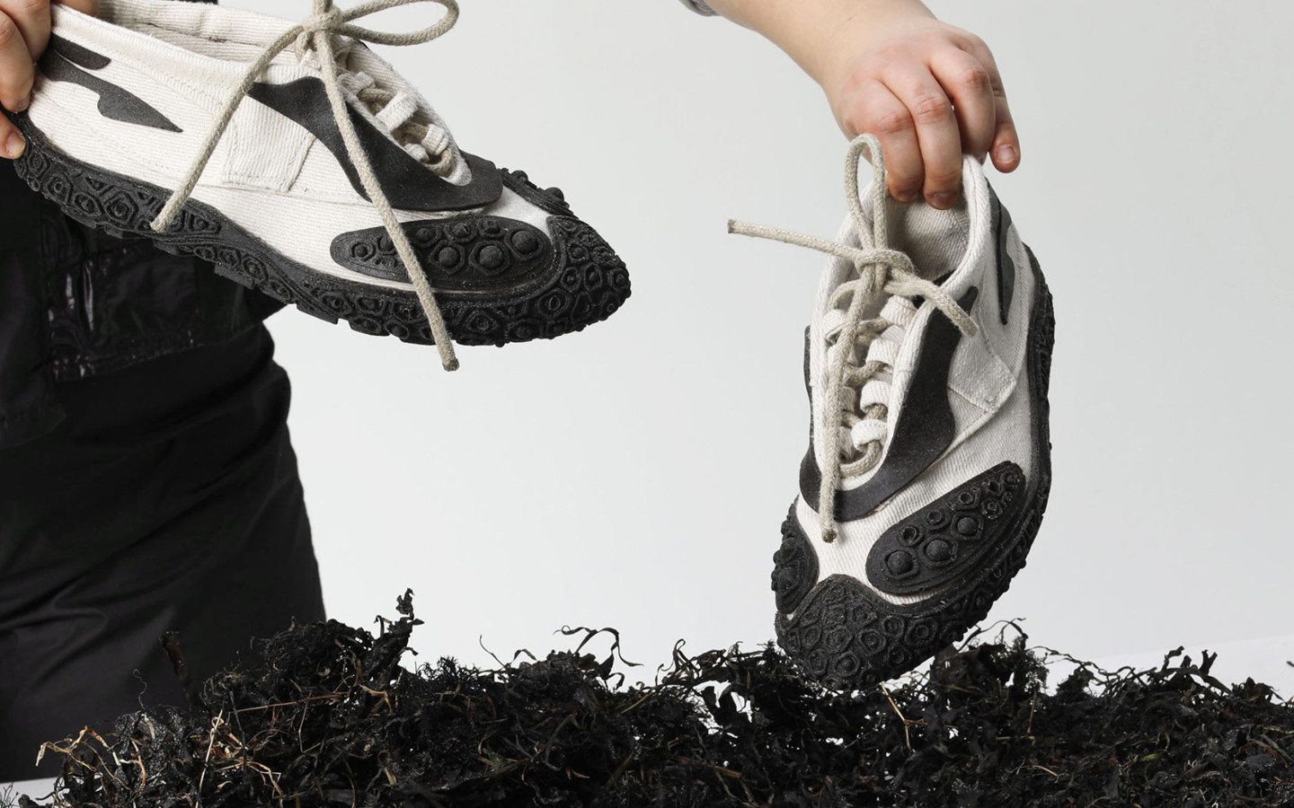 Biological Footprint