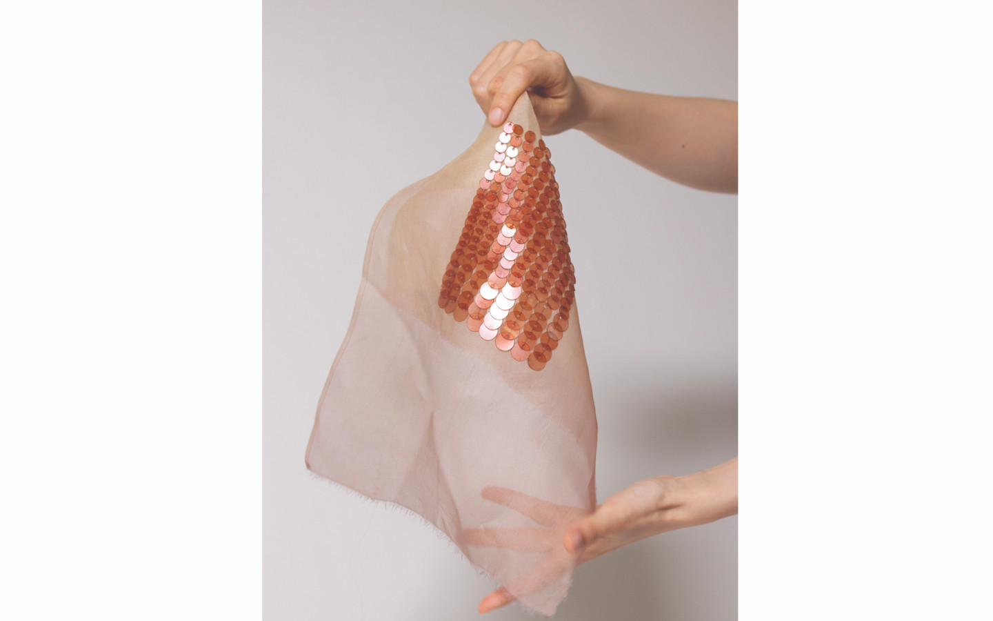 Fragments From Shrinking Shore