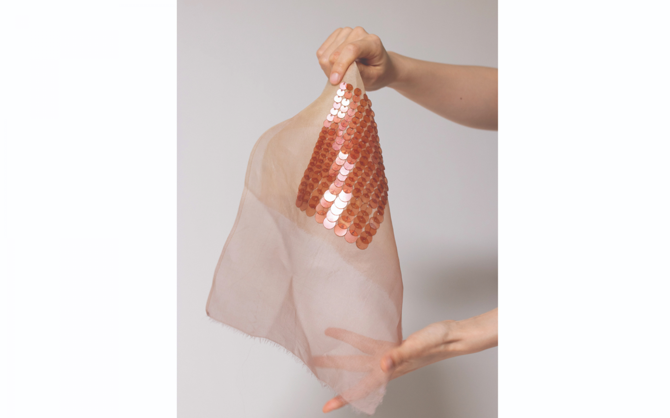 Fragmentos de la costa menguante