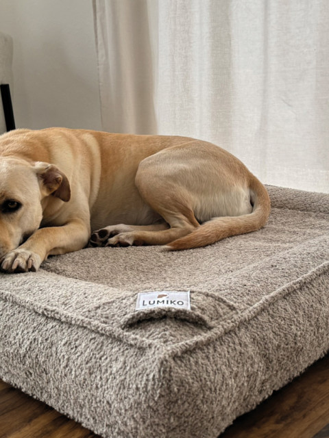 LUMIKO