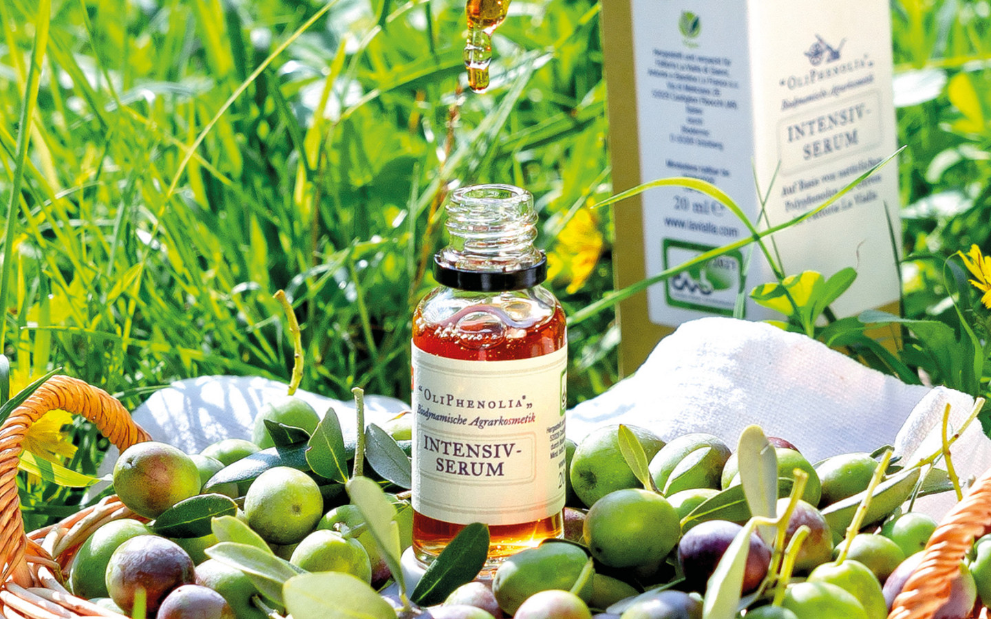 Natural Skincare OliPhenolia®