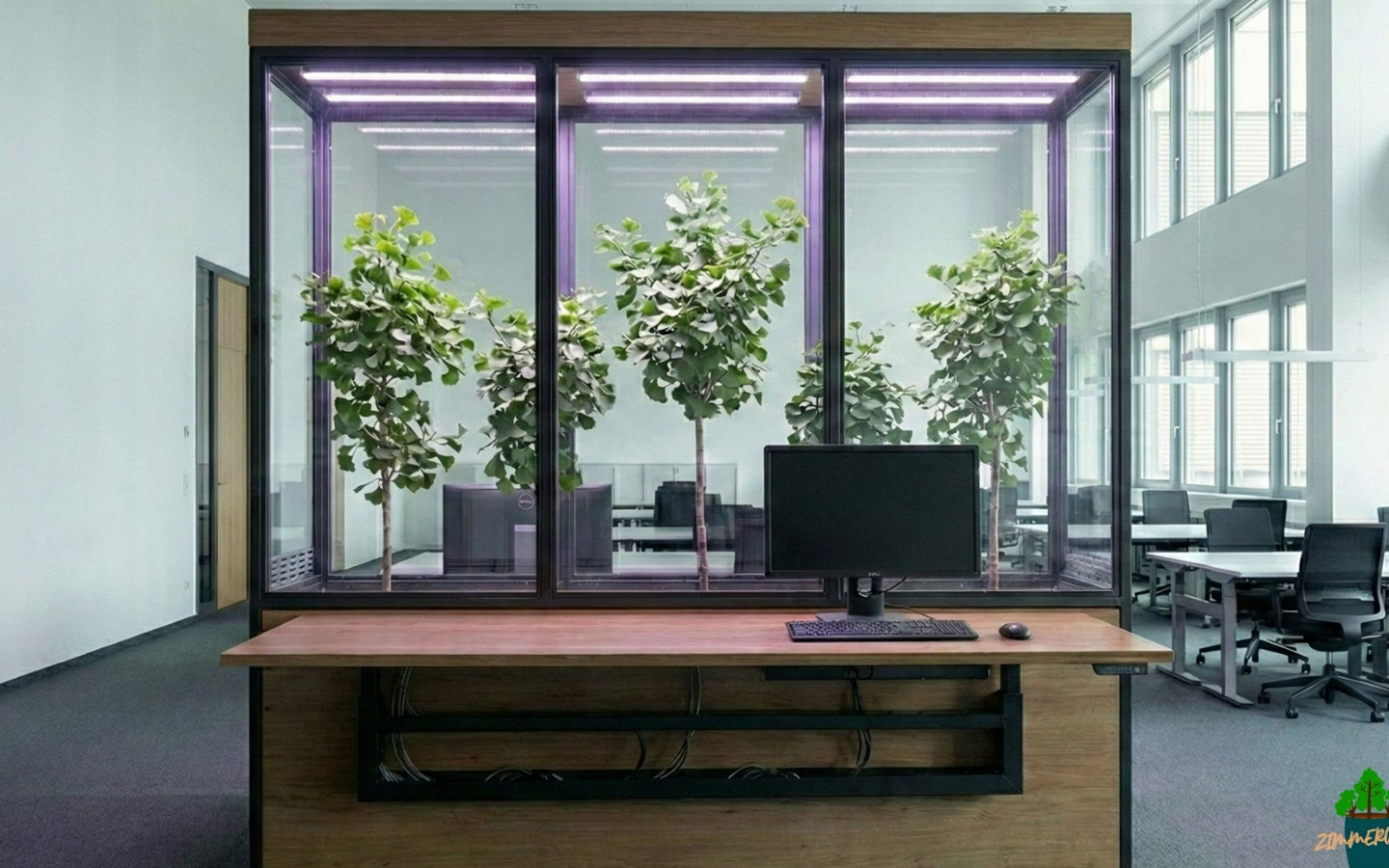 ZIMMERWALD | baumbox