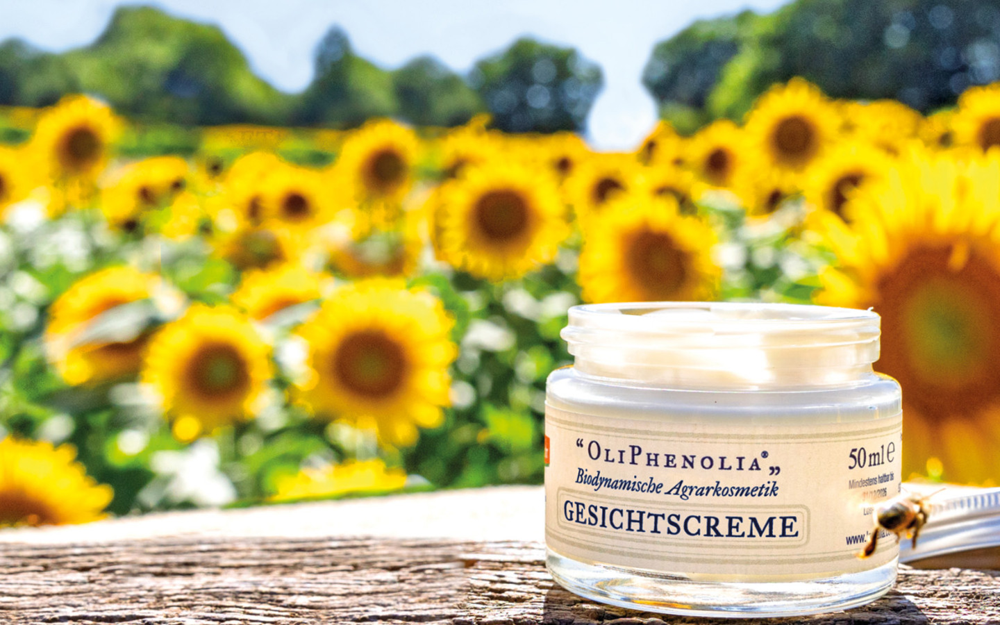 Natural Skincare OliPhenolia®