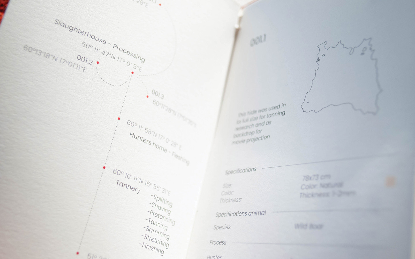 The Weight of the Hide