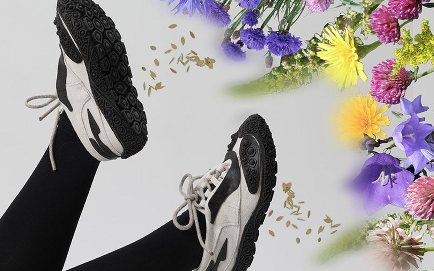 Biological Footprint