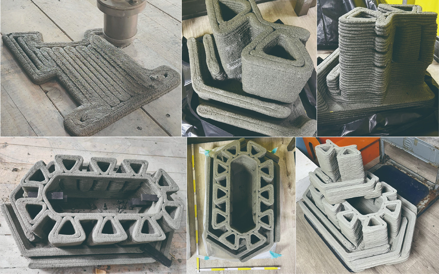 D.F.S 蜻蜓保护区