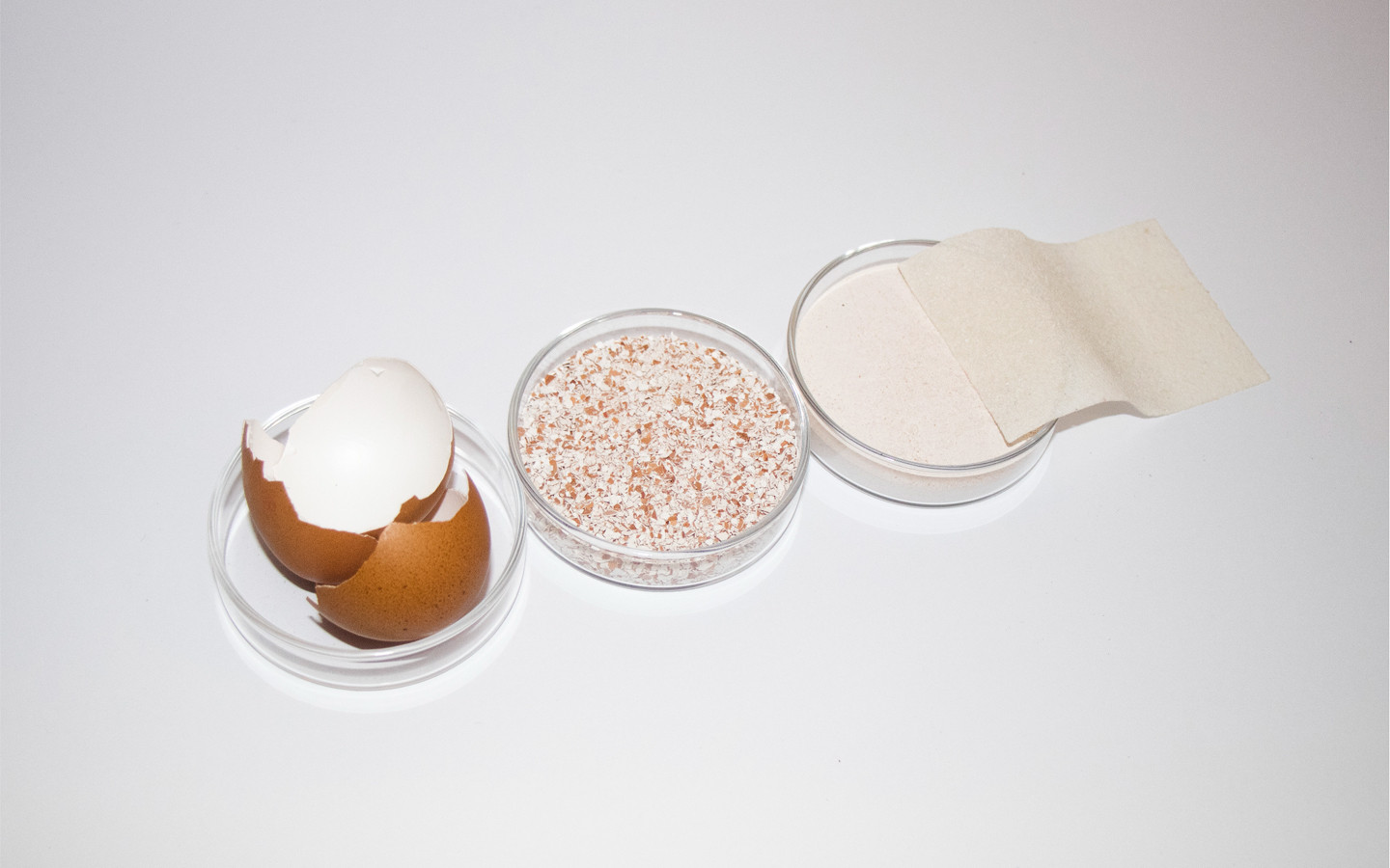 Eggshell Material