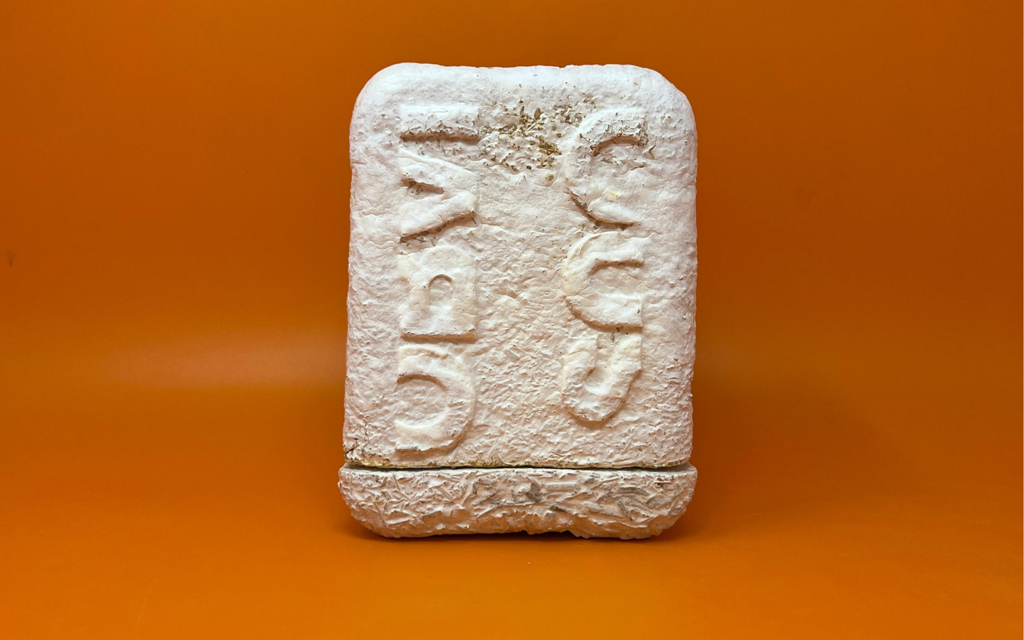 Packaging Mycelium OP