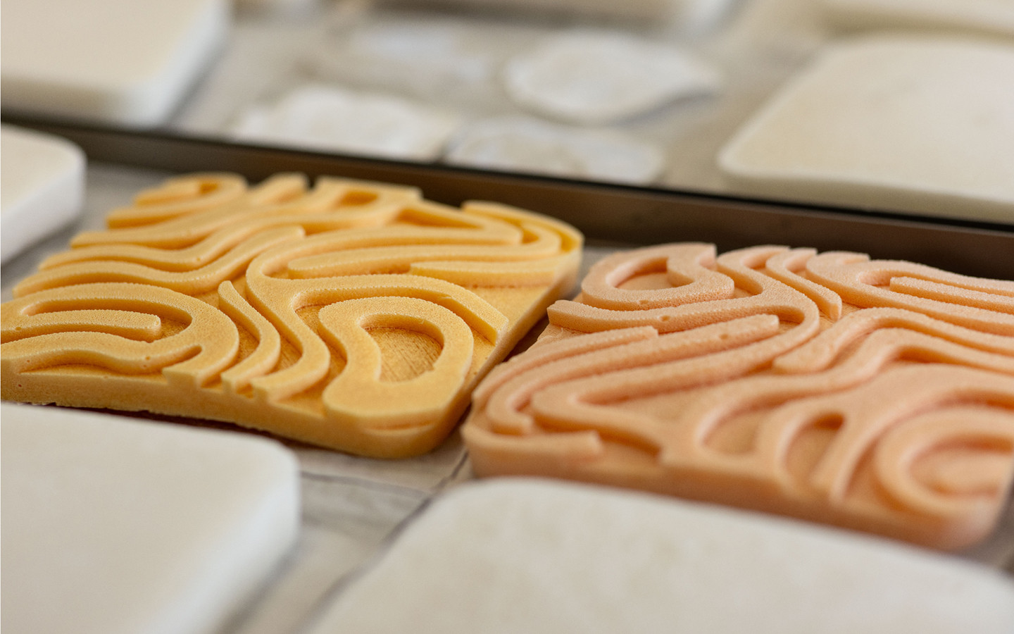 Bacterial Cellulose Foam