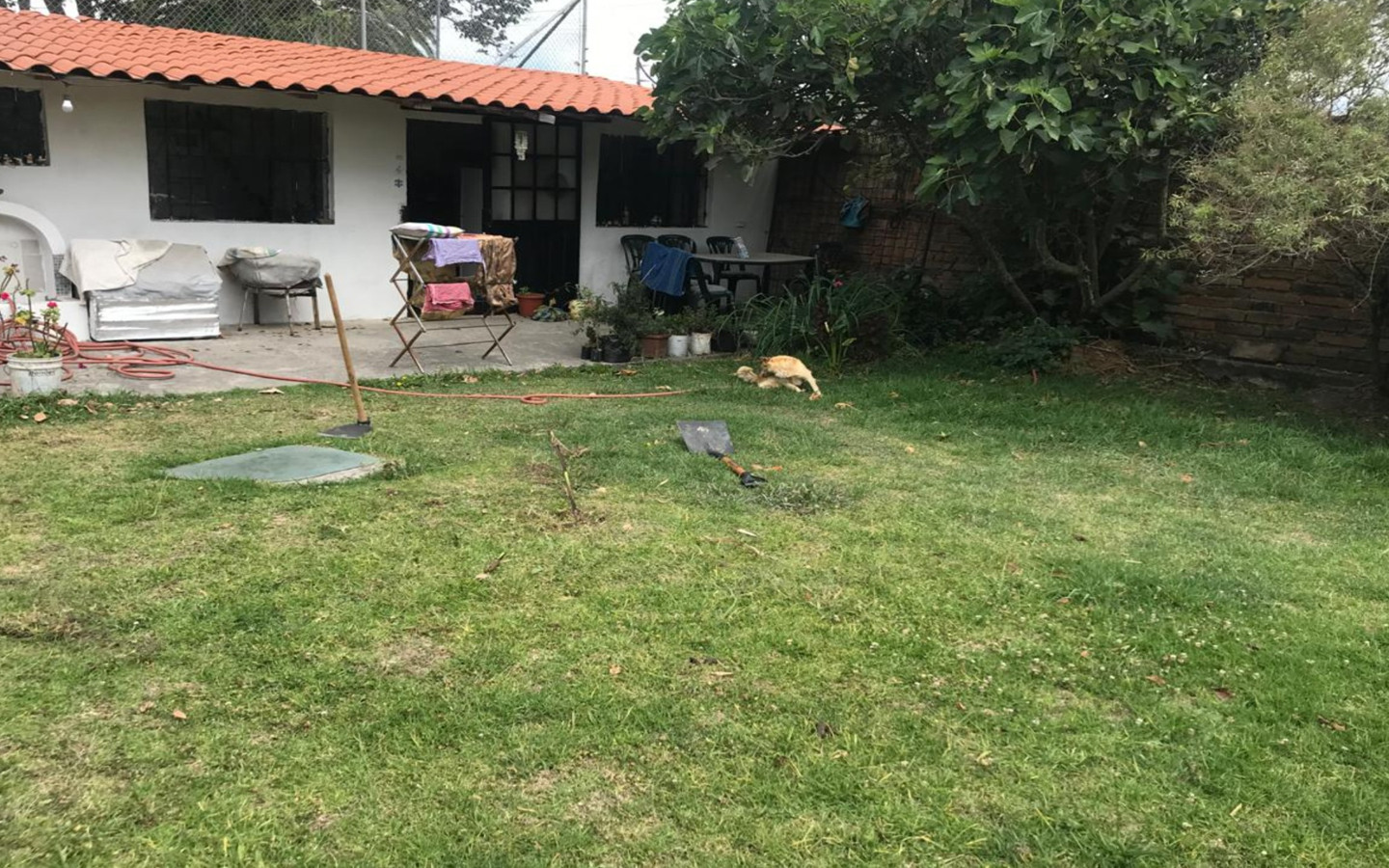 Kpulí Voltando Terra