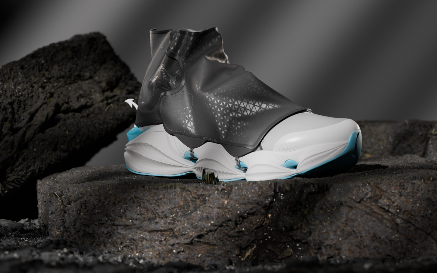 Smart Wearable Shoes