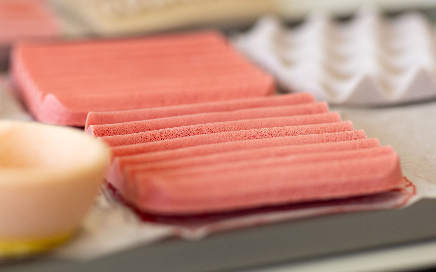 Bacterial Cellulose Foam