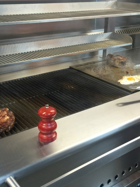 Synergy Grill Technologie