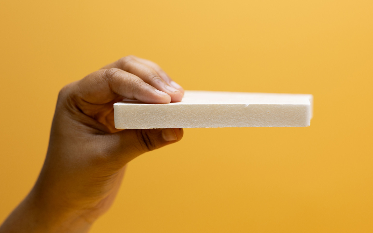 Bacterial Cellulose Foam