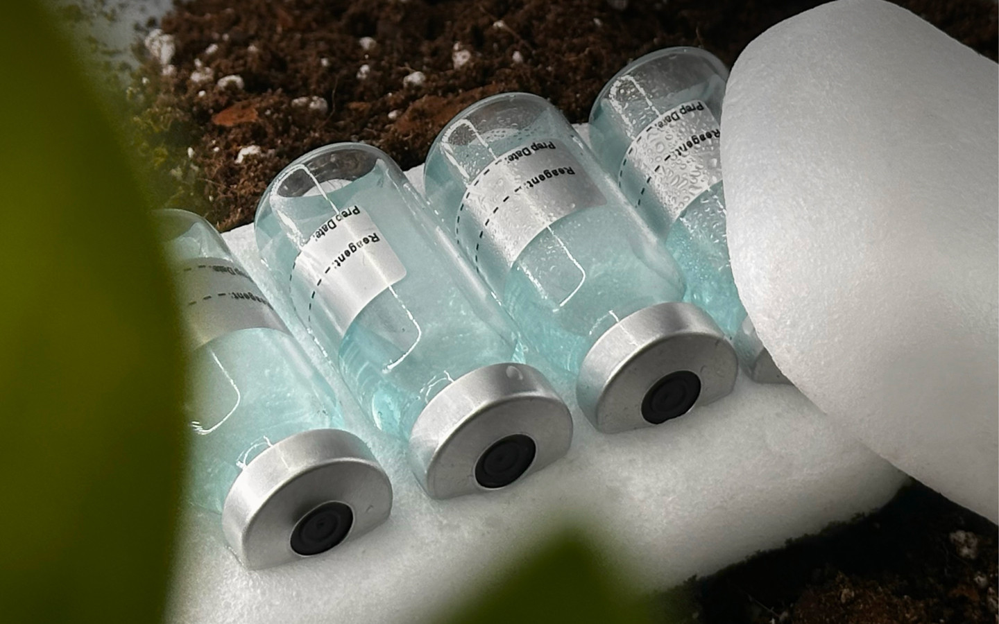 Biodegradable thermal packaging