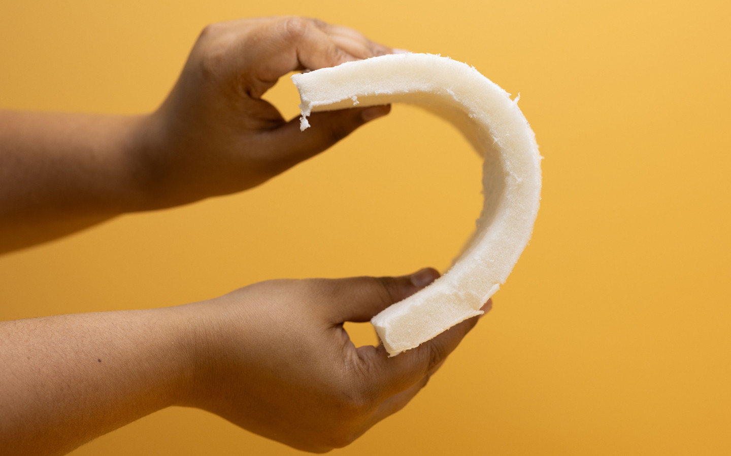 Bacterial Cellulose Foam