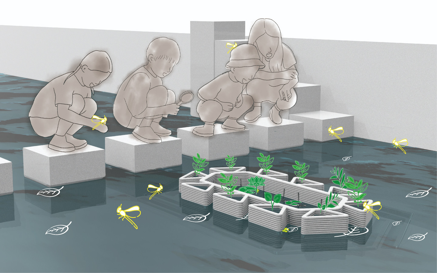 D.F.S 蜻蜓保护区