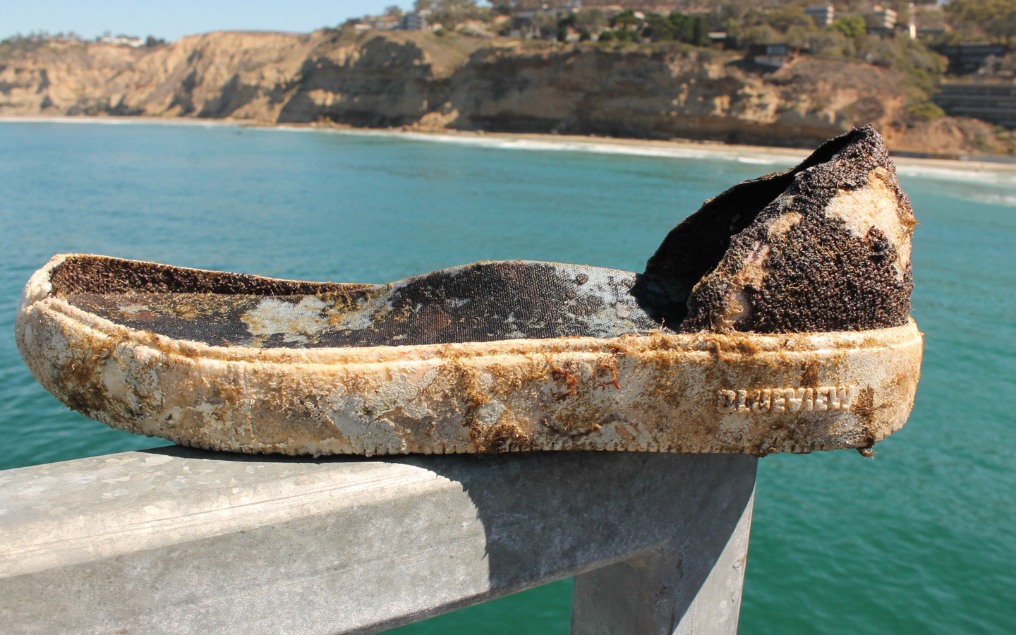 Soleic® Polyurethanes