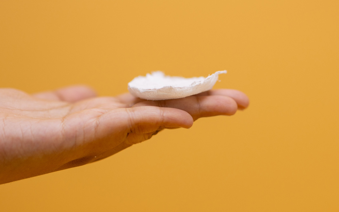 Bacterial Cellulose Foam