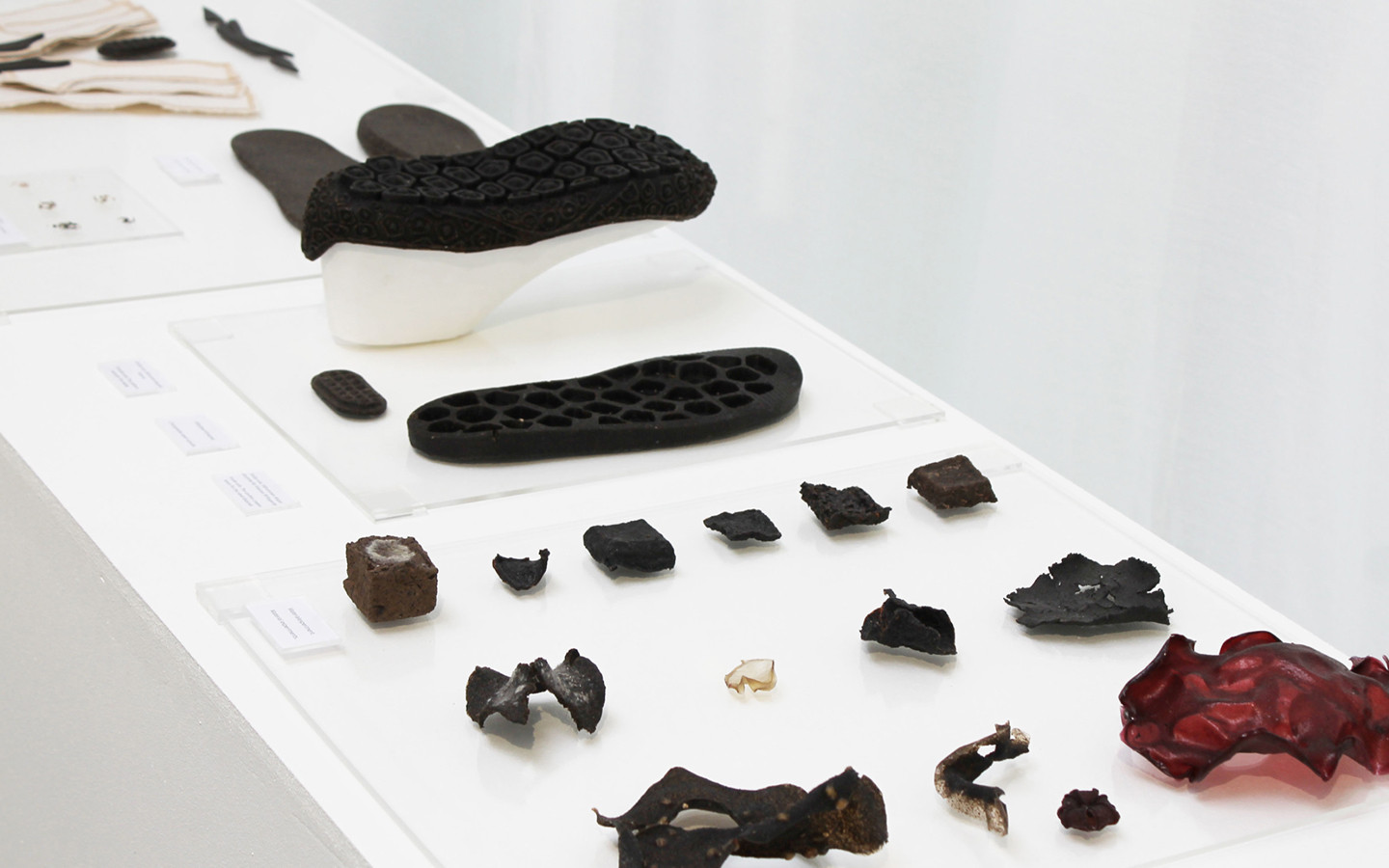 Biological Footprint