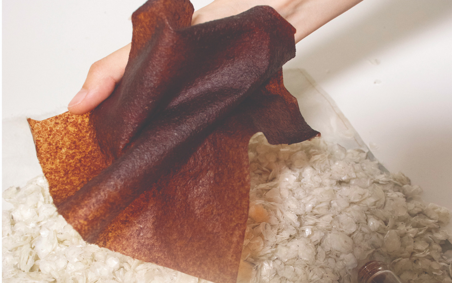 Fragments From Shrinking Shore